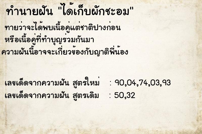 ทำนายฝันทำนายฝันได้เก็บผักชะอม