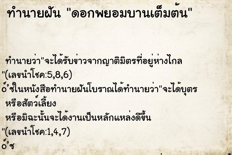ทำนายฝันดอกพยอมบานเต็มต้น ทำนายฝันทำนายฝันดอกพยอมบานเต็มต้น