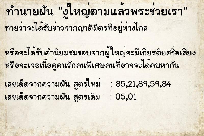 ทำนายฝันงูใหญ่ตามแล้วพระช่วยเรา ทำนายฝันทำนายฝันงูใหญ่ตามแล้วพระช่วยเรา