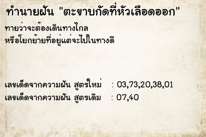 ทำนายฝัน ตะขาบกัดที่หัวเลือดออก ทำนายฝัน ตะขาบกัดที่หัวเลือดออก