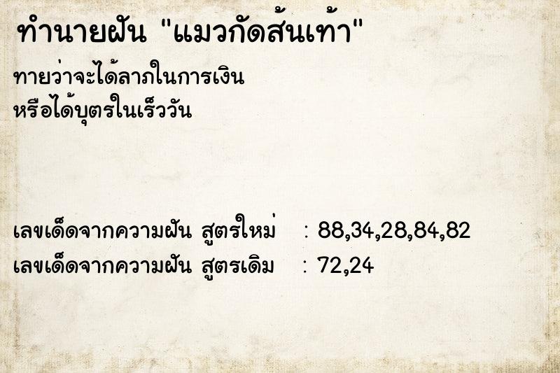ทำนายฝันทำนายฝันแมวกัดส้นเท้า