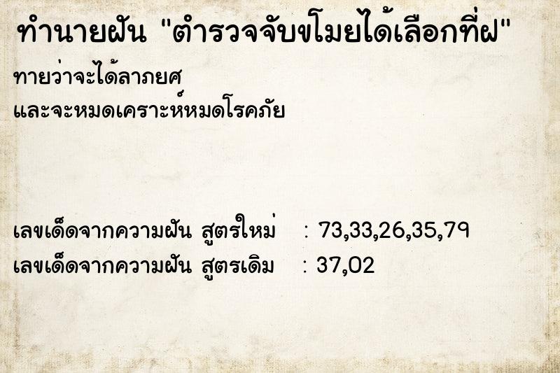ทำนายฝันตำรวจจับขโมยได้เลือกที่ฝ ทำนายฝันทำนายฝันตำรวจจับขโมยได้เลือกที่ฝ