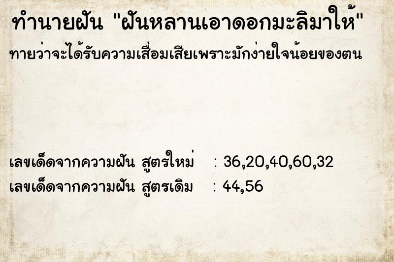 ทำนายฝันทำนายฝันฝันหลานเอาดอกมะลิมาให้
