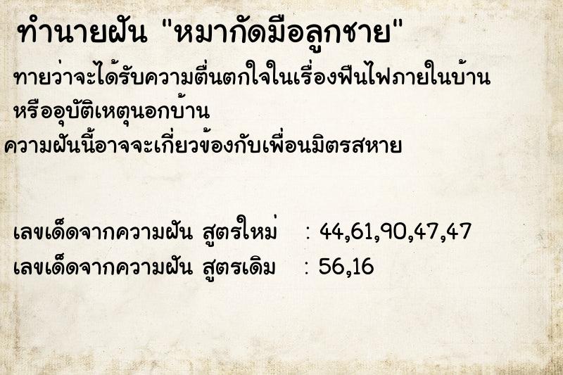 ทำนายฝันหมากัดมือลูกชาย ทำนายฝันทำนายฝันหมากัดมือลูกชาย