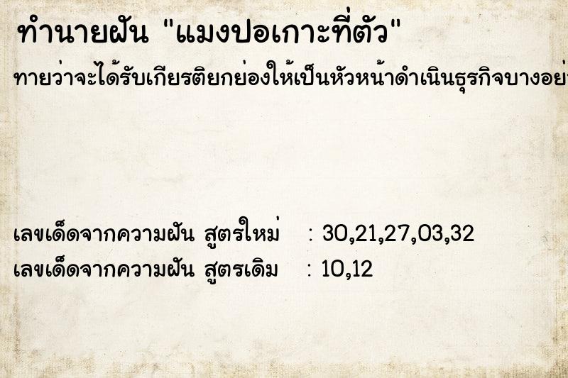 ทำนายฝันแมงปอเกาะที่ตัว ทำนายฝันทำนายฝันแมงปอเกาะที่ตัว