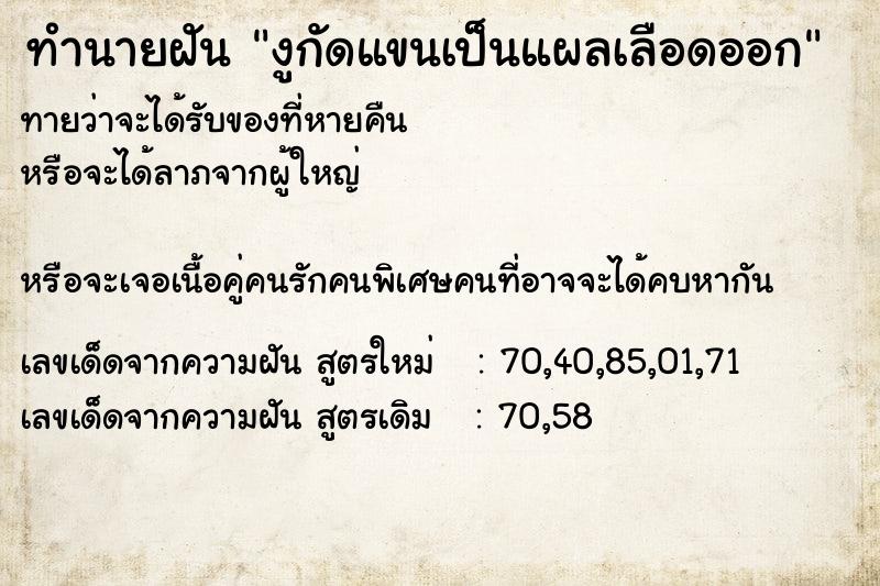 ทำนายฝันงูกัดแขนเป็นแผลเลือดออก ทำนายฝันทำนายฝันงูกัดแขนเป็นแผลเลือดออก