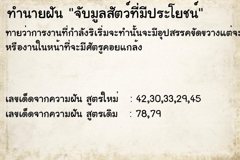 ทำนายฝันทำนายฝันจับมูลสัตว์​ที่มีประโยชน์