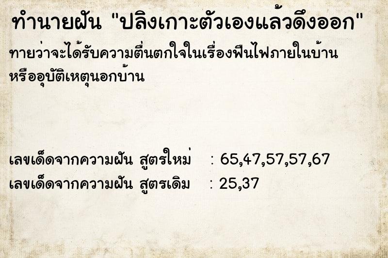 ทำนายฝันปลิงเกาะตัวเองแล้วดึงออก ทำนายฝันทำนายฝันปลิงเกาะตัวเองแล้วดึงออก