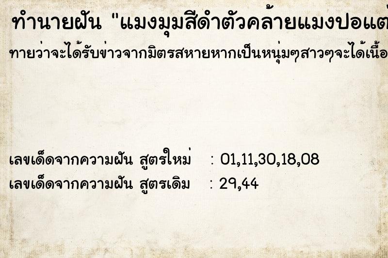 ทำนายฝันแมงมุมสีดำตัวคล้ายแมงปอแต่ไม่มีปีก ทำนายฝันทำนายฝันแมงมุมสีดำตัวคล้ายแมงปอแต่ไม่มีปีก