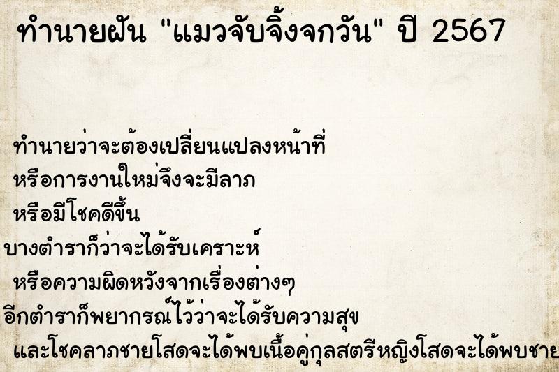 ทำนายฝันแมวจับจิ้งจกวัน ทำนายฝันทำนายฝันแมวจับจิ้งจกวัน