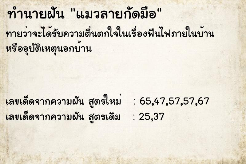 ทำนายฝัน แมวลายกัดมือ ตำราโบราณ แม่นที่สุดในโลก