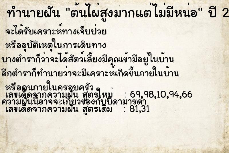 ทำนายฝัน ต้นไผ่สูงมากแต่ไม่มีหน่อ ทำนายฝัน ต้นไผ่สูงมากแต่ไม่มีหน่อ