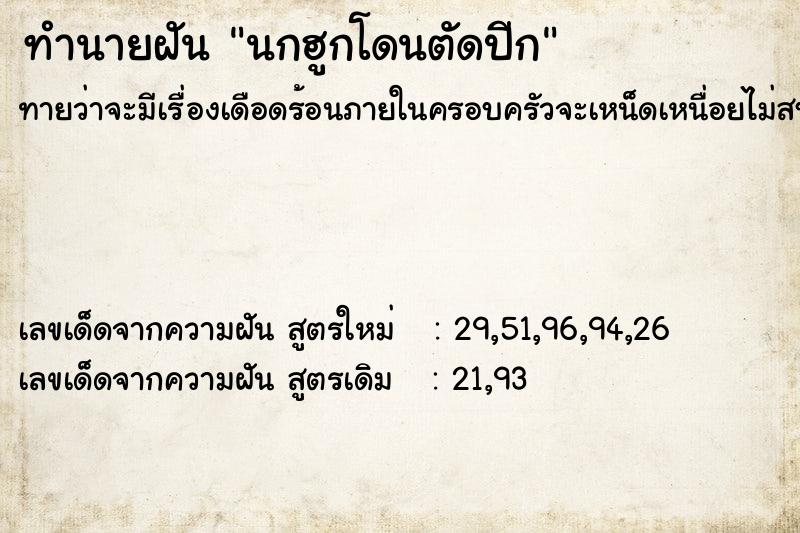 ทำนายฝันนกฮูกโดนตัดปีก ทำนายฝันทำนายฝันนกฮูกโดนตัดปีก