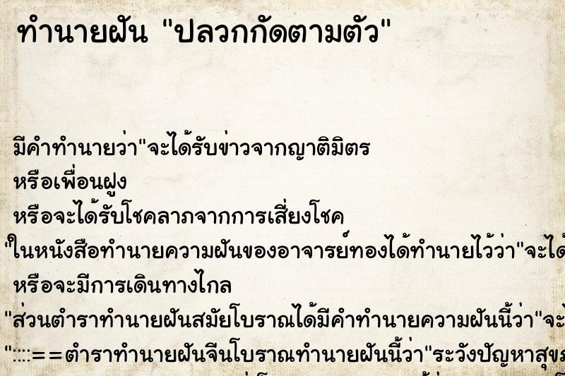 ทำนายฝัน ปลวกกัดตามตัว ทำนายฝัน ปลวกกัดตามตัว