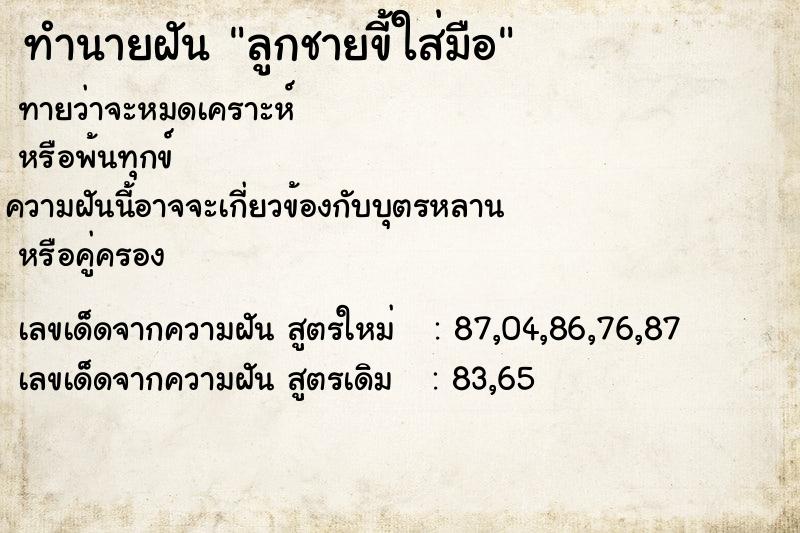 ทำนายฝันทำนายฝันลูกชายขี้ใส่มือ