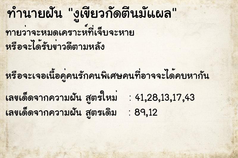 ทำนายฝันงูเขียวกัดตีนมัแผล ทำนายฝันทำนายฝันงูเขียวกัดตีนมัแผล