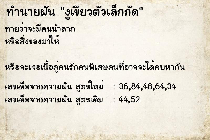 ทำนายฝันงูเขียวตัวเล็กกัด ทำนายฝันทำนายฝันงูเขียวตัวเล็กกัด