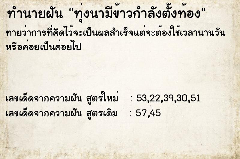 ทำนายฝันทำนายฝันทุ่งนามีข้าวกำลังตั้งท้อง