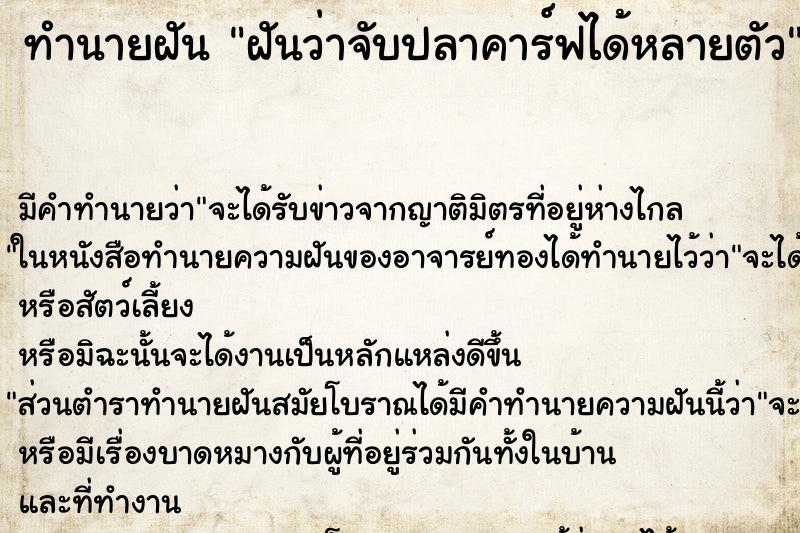 ทำนายฝันฝันว่าจับปลาคาร์ฟได้หลายตัว ทำนายฝันทำนายฝันฝันว่าจับปลาคาร์ฟได้หลายตัว