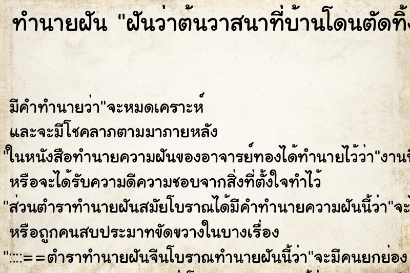 ทำนายฝัน ฝันว่าต้นวาสนาที่บ้านโดนตัดทิ้ง ทำนายฝัน ฝันว่าต้นวาสนาที่บ้านโดนตัดทิ้ง