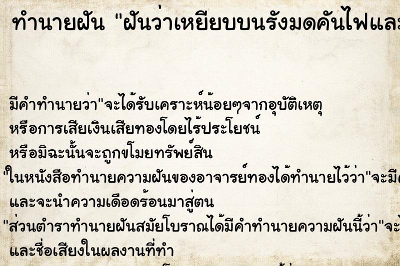 ทำนายฝันฝันว่าเหยียบบนรังมดคันไฟและโดนมดคันไฟกัด ทำนายฝันทำนายฝันฝันว่าเหยียบบนรังมดคันไฟและโดนมดคันไฟกัด