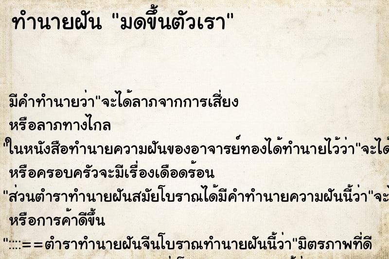 ทำนายฝันทำนายฝันมดขึ้นตัวเรา