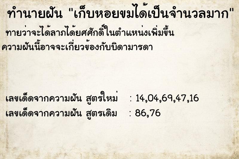 ทำนายฝัน เก็บหอยขมได้เป็นจำนวลมาก ทำนายฝัน เก็บหอยขมได้เป็นจำนวลมาก