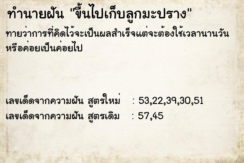 ทำนายฝันทำนายฝันขื้นไปเก็บลูกมะปราง