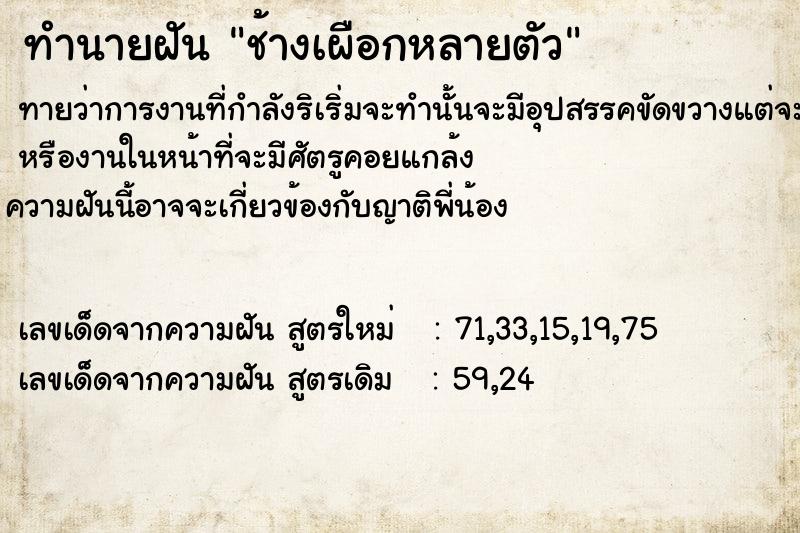 ทำนายฝันช้างเผือกหลายตัว ทำนายฝันทำนายฝันช้างเผือกหลายตัว