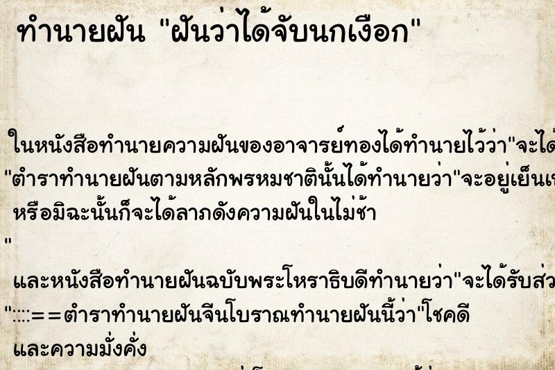 ทำนายฝันฝันว่าได้จับนกเงือก ทำนายฝันทำนายฝันฝันว่าได้จับนกเงือก