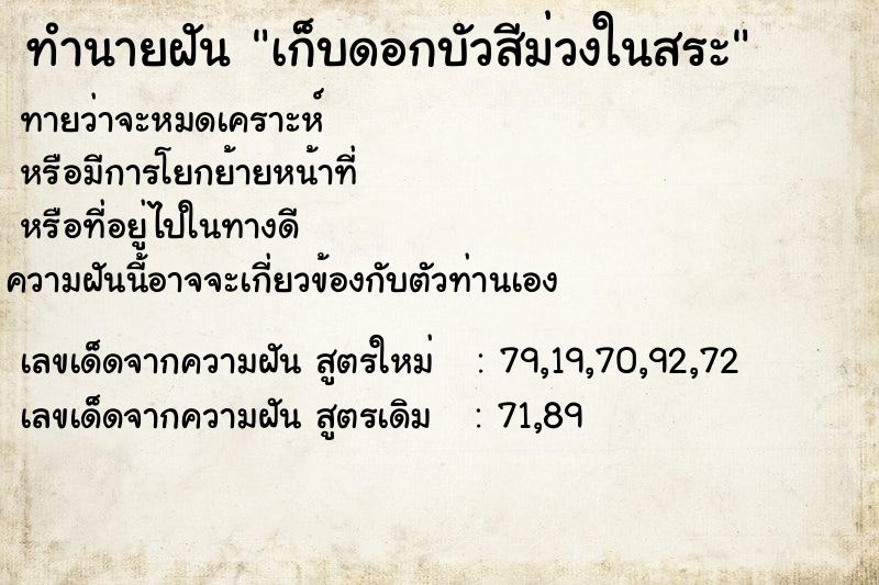 ทำนายฝันเก็บดอกบัวสีม่วงในสระ ทำนายฝันทำนายฝันเก็บดอกบัวสีม่วงในสระ