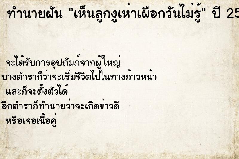 ทำนายฝันเห็นลูกงูเห่าเผือกวันไม่รู้ ทำนายฝันทำนายฝันเห็นลูกงูเห่าเผือกวันไม่รู้