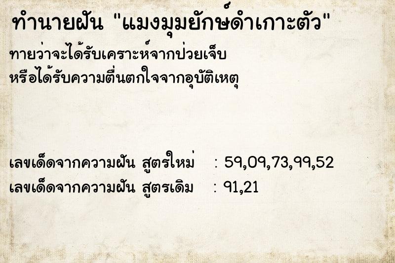 ทำนายฝันแมงมุมยักษ์ดำเกาะตัว ทำนายฝันทำนายฝันแมงมุมยักษ์ดำเกาะตัว