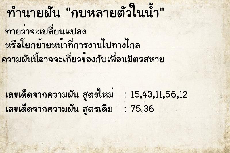 ทำนายฝันทำนายฝันกบหลายตัวในน้ำ