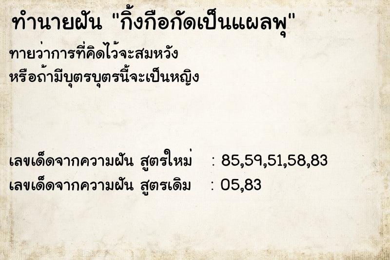 ทำนายฝันทำนายฝันกิ้งกือกัดเป็นแผลพุ