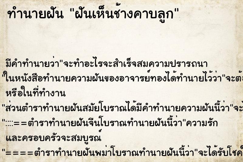 ทำนายฝันฝันเห็นช้างคาบลูก ทำนายฝันทำนายฝันฝันเห็นช้างคาบลูก
