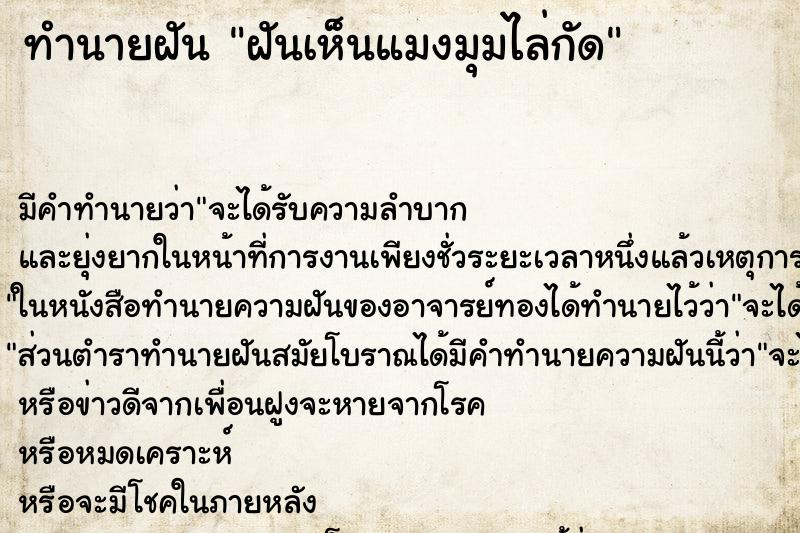 ทำนายฝัน ฝันเห็นแมงมุมไล่กัด ทำนายฝัน ฝันเห็นแมงมุมไล่กัด