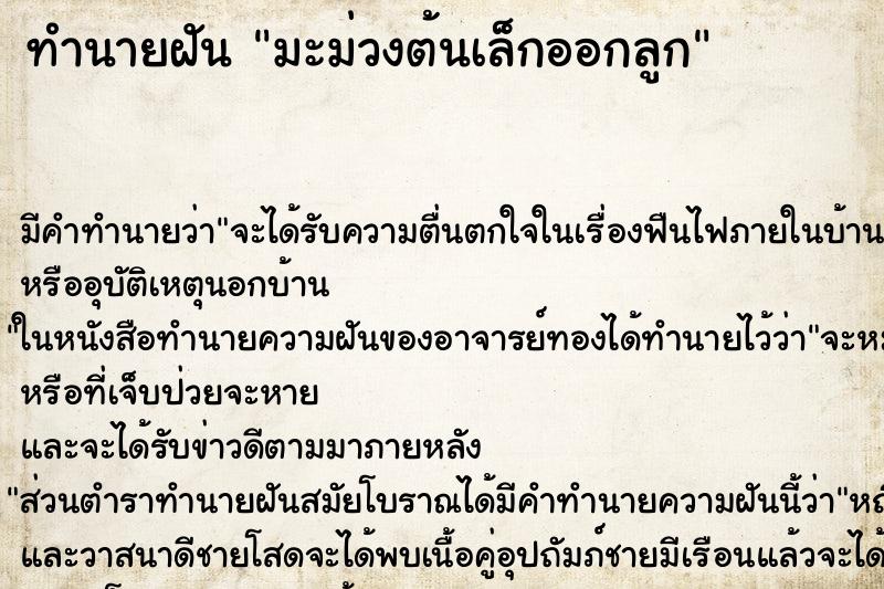ทำนายฝันทำนายฝันมะม่วงต้นเล็กออกลูก