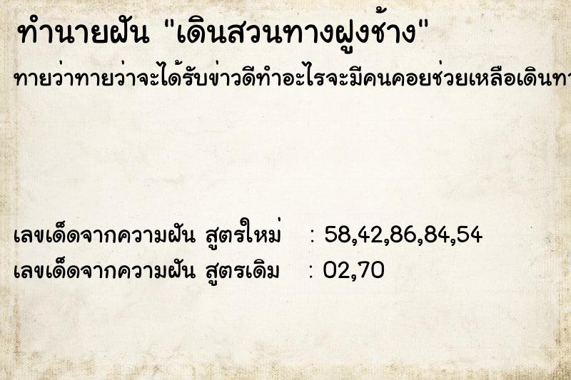 ทำนายฝันเดินสวนทางฝูงช้าง ทำนายฝันทำนายฝันเดินสวนทางฝูงช้าง