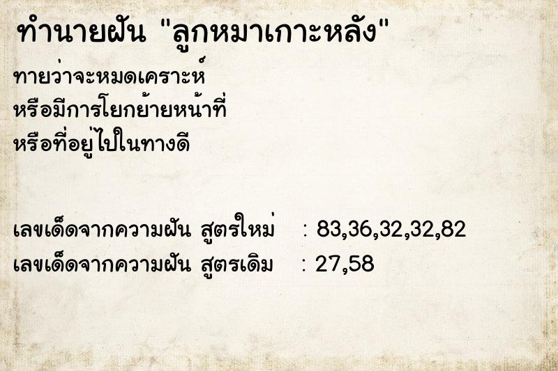 ทำนายฝันทำนายฝันลูกหมาเกาะหลัง