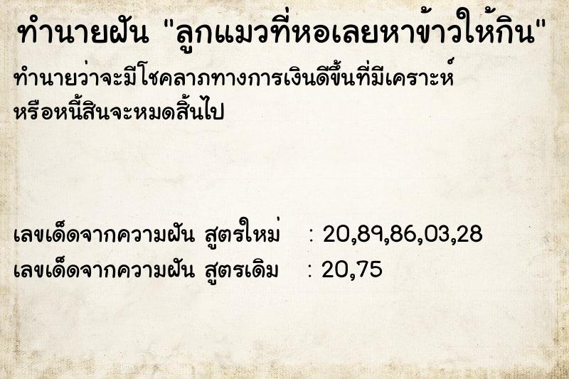 ทำนายฝันลูกแมวที่หอเลยหาข้าวให้กิน ทำนายฝันทำนายฝันลูกแมวที่หอเลยหาข้าวให้กิน