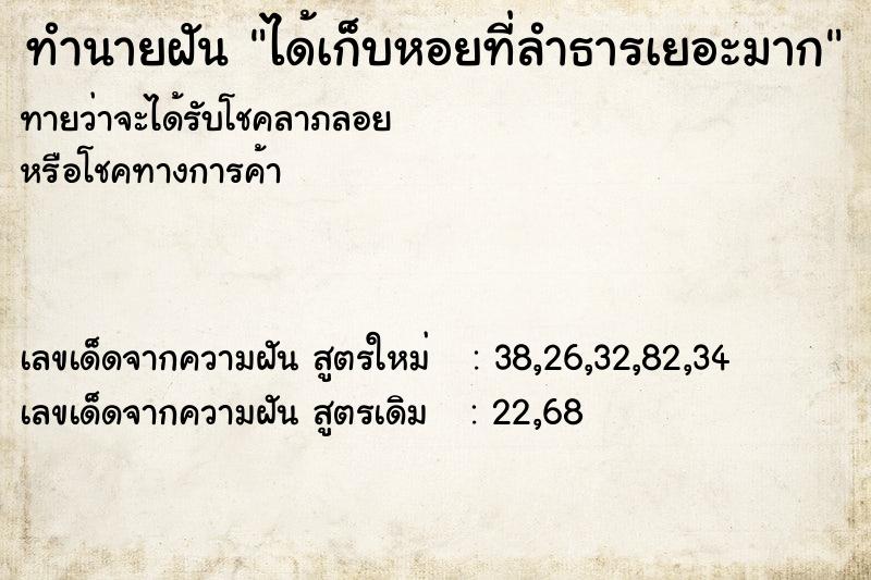 ทำนายฝันทำนายฝันได้เก็บหอยที่ลำธารเยอะมาก