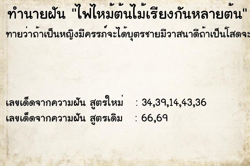 ทำนายฝันทำนายฝันไฟไหม้ต้นไม้เรียงกันหลายต้น