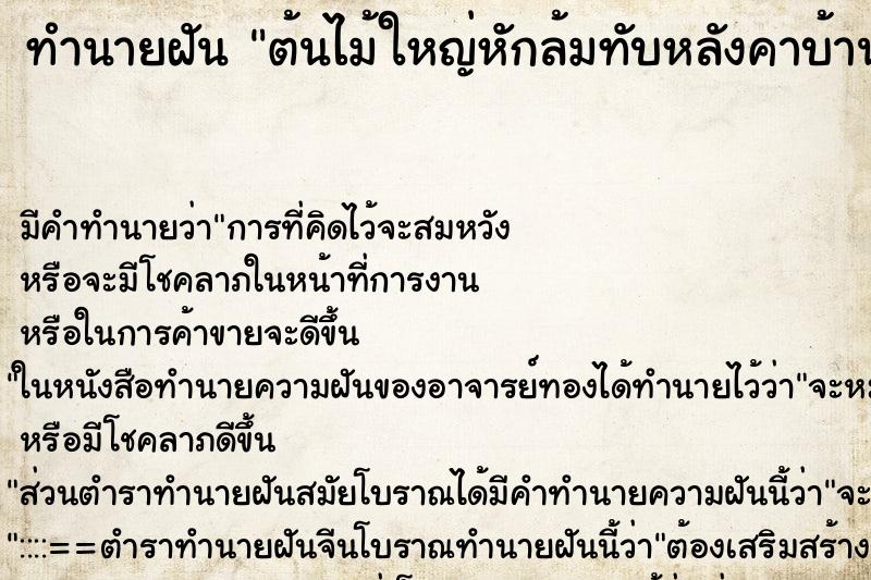ทำนายฝัน ต้นไม้ใหญ่หักล้มทับหลังคาบ้านพัง ทำนายฝัน ต้นไม้ใหญ่หักล้มทับหลังคาบ้านพัง