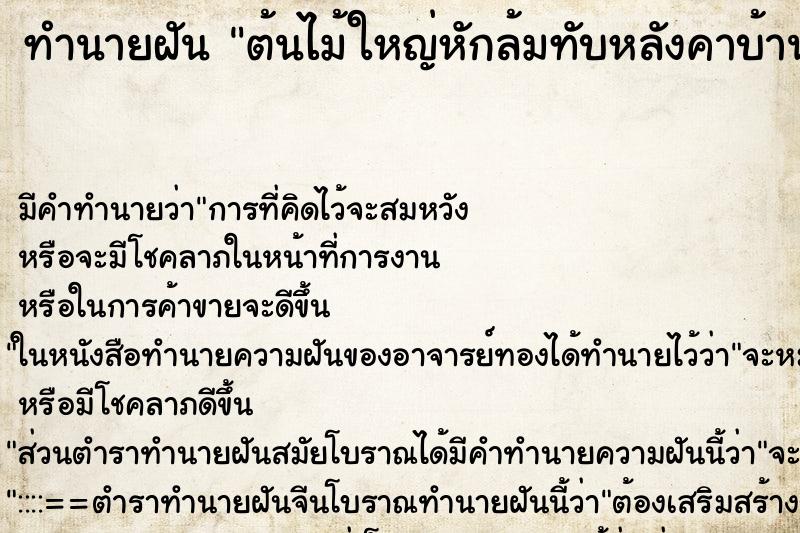 ทำนายฝัน ต้นไม้ใหญ่หักล้มทับหลังคาบ้านพัง ตำราโบราณ แม่นที่สุดในโลก