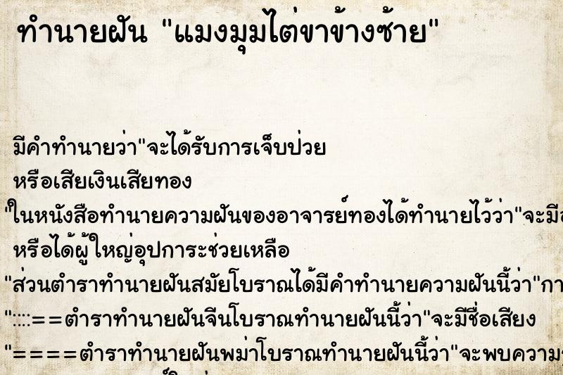 ทำนายฝัน แมงมุมไต่ขาข้างซ้าย ทำนายฝัน แมงมุมไต่ขาข้างซ้าย