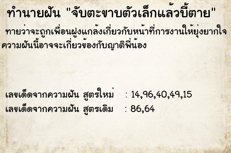 ทำนายฝันทำนายฝันจับตะขาบตัวเล็กแล้วบี้ตาย