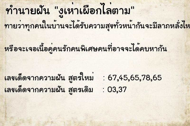 ทำนายฝันงูเห่าเผือกไล่ตาม ทำนายฝันทำนายฝันงูเห่าเผือกไล่ตาม