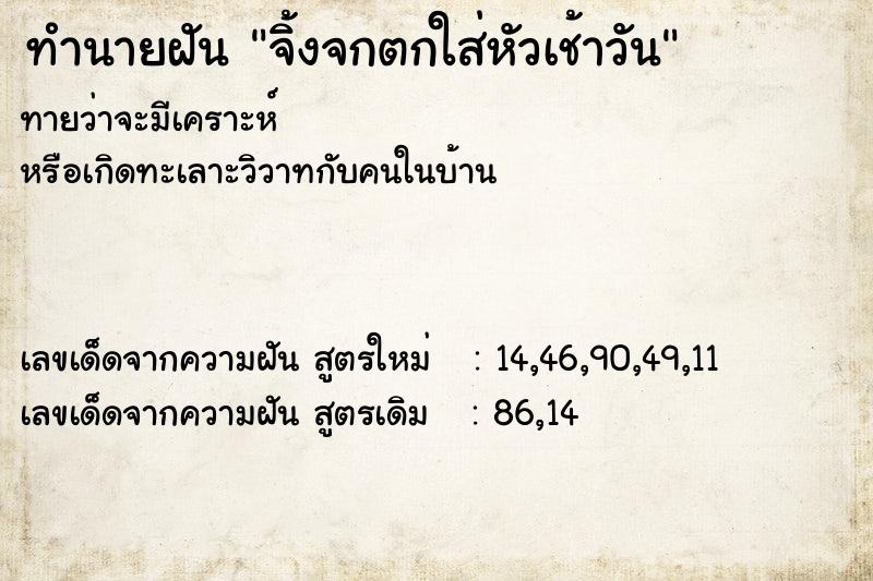 ทำนายฝัน จิ้งจกตกใส่หัวเช้าวัน ทำนายฝัน จิ้งจกตกใส่หัวเช้าวัน