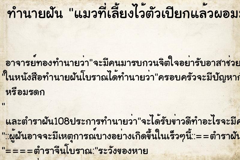 ทำนายฝันแมวที่เลี้ยงไว้ตัวเปียกแล้วผอมมากสกปรกมาก ทำนายฝันทำนายฝันแมวที่เลี้ยงไว้ตัวเปียกแล้วผอมมากสกปรกมาก